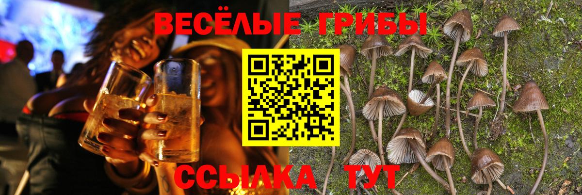 Норильск  Псилоцибиновые грибы Psilocybine cubensis  Вход с VPN 