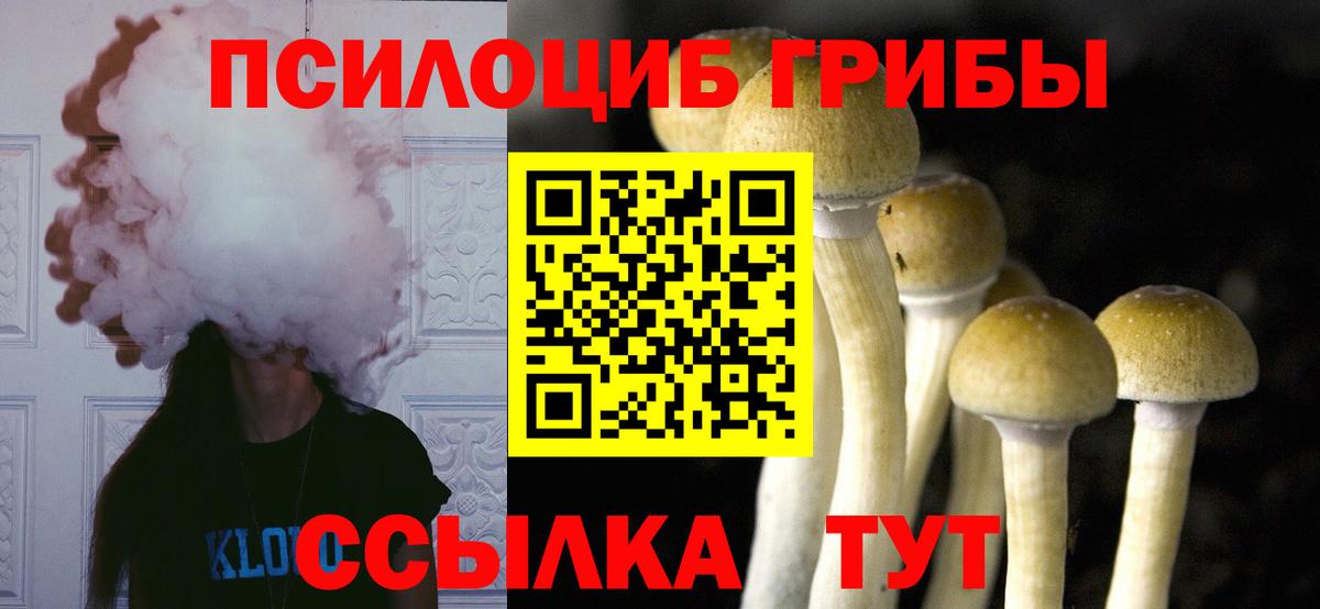 Псилоцибиновые грибы мухоморы Норильск